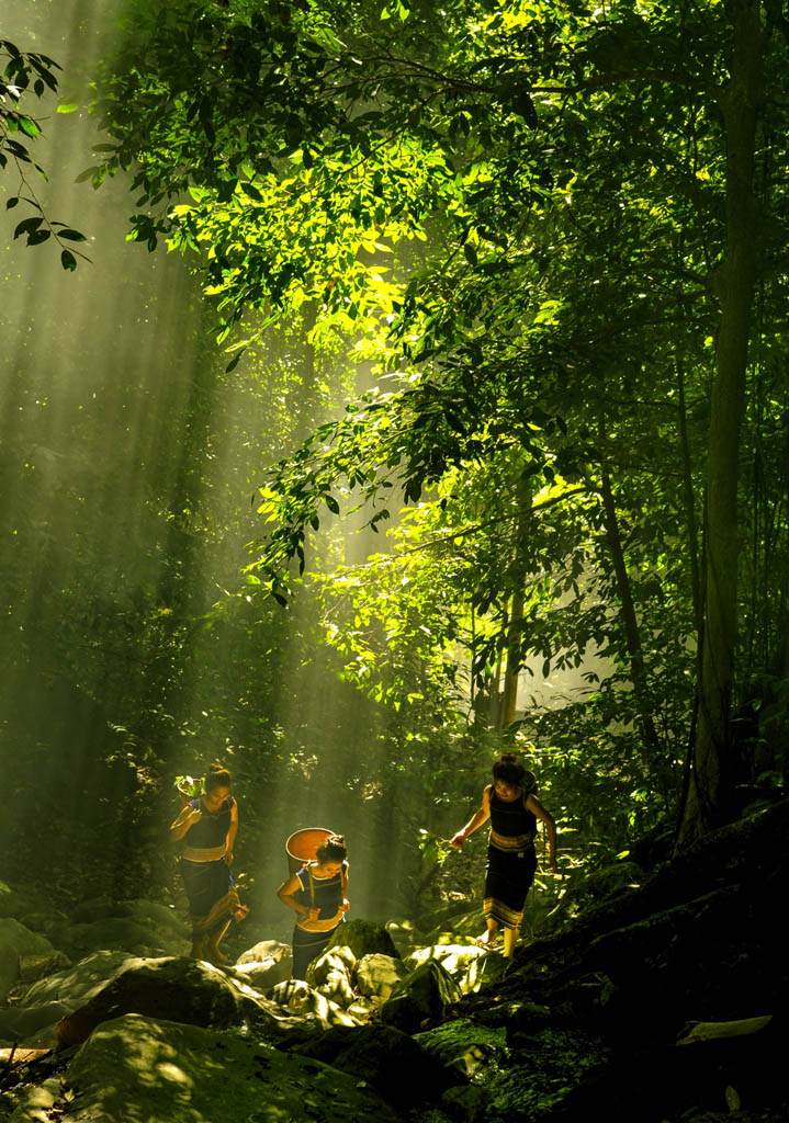 Vườn Quốc gia Chư Mom Ray