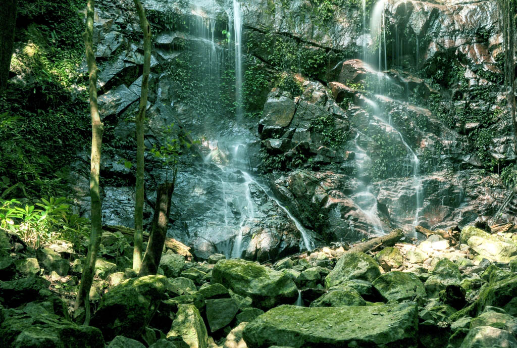 Vườn Quốc gia Chư Mom Ray