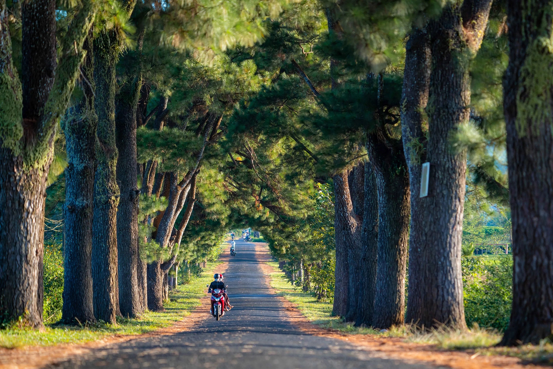 highland plateau ecosystems_4