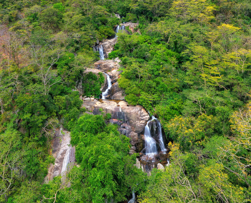 Vườn Quốc gia Núi Chúa