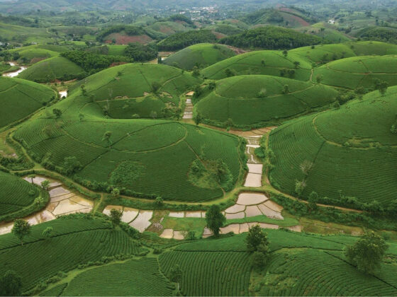 quiet coastal towns Vietnam_thumb