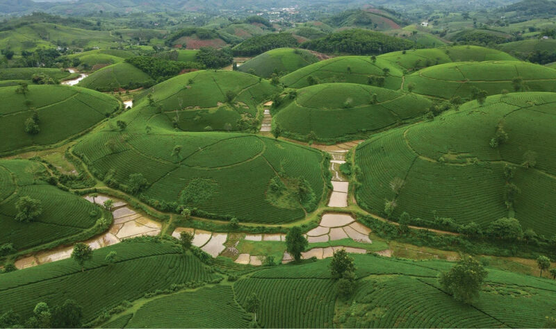 quiet coastal towns Vietnam_thumb