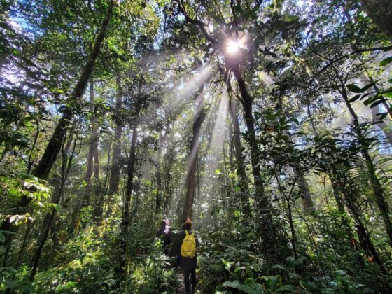 rewilding Vietnam_thumb