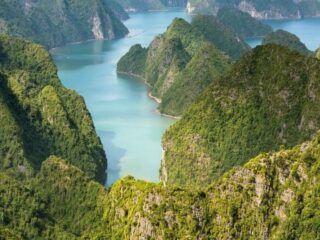 Vườn Quốc gia Cát Bà National Park