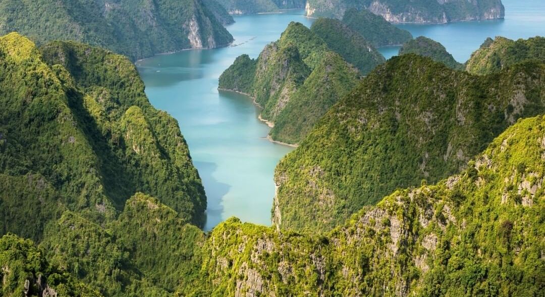 Vườn Quốc gia Cát Bà National Park