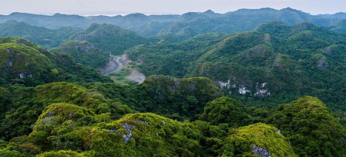 Vườn Quốc gia Cát Bà National Park
