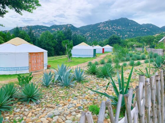 eco-luxury Vietnam_thumb