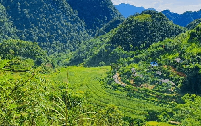 hidden jungle temples in Vietnam_3