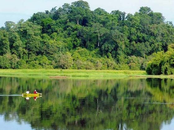hidden jungle temples in Vietnam_thumb