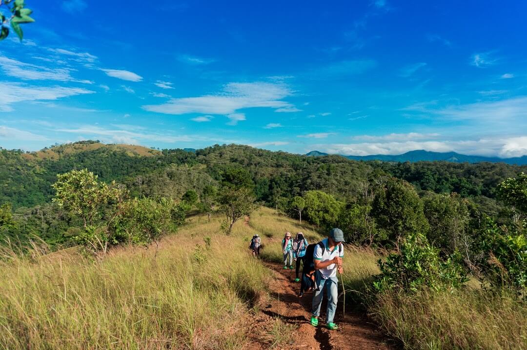 mindful movement trails_2