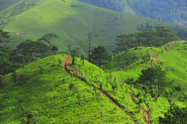 mindful movement trails_3