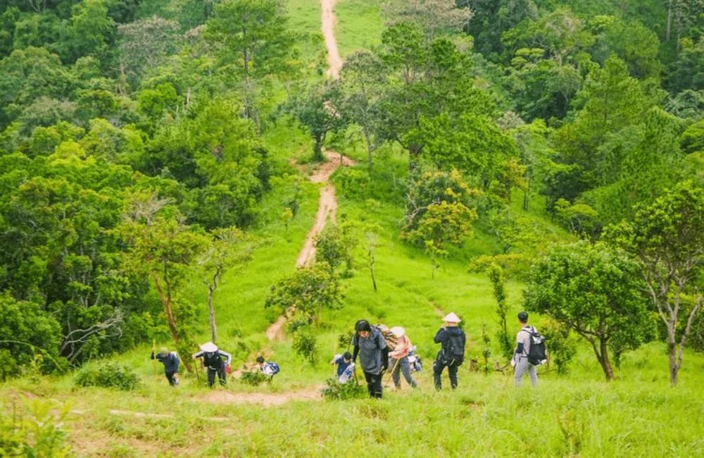 mindful movement trails_4