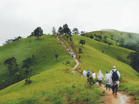 mindful movement trails_thumb