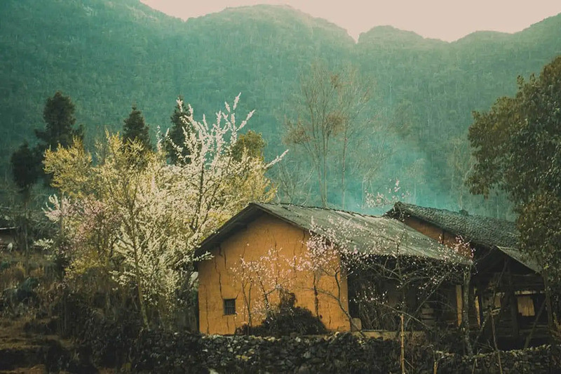 nature therapy Vietnam_1