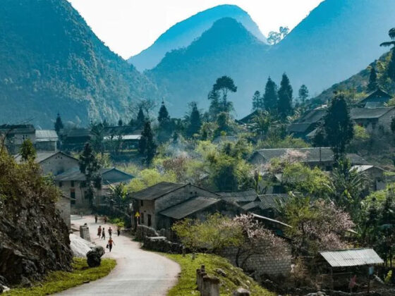 nature therapy Vietnam_thumb