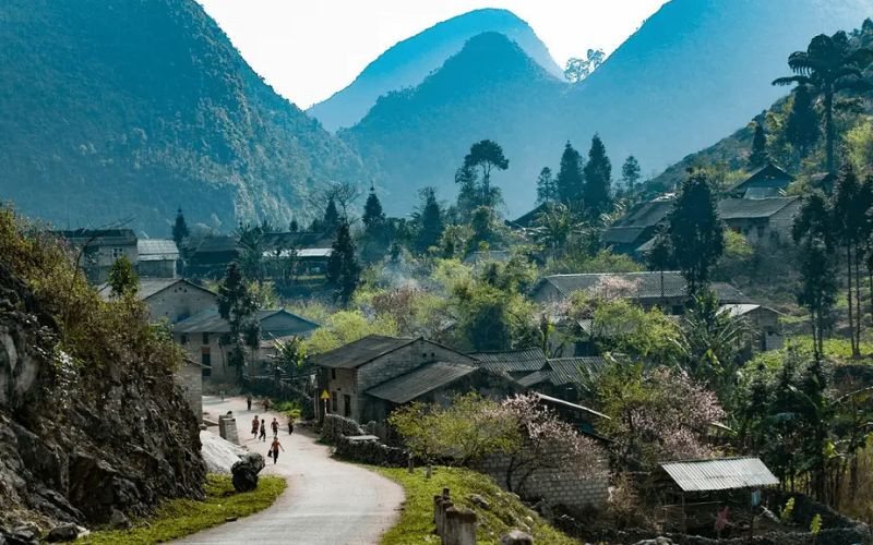 nature therapy Vietnam_thumb