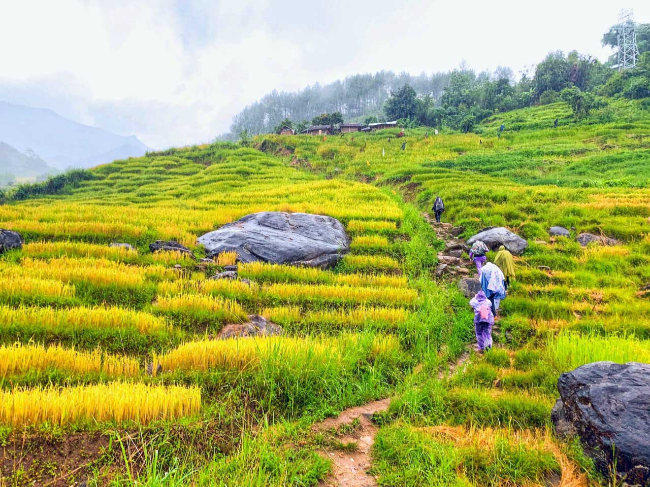 top 20 hiking routes in Vietnam_19