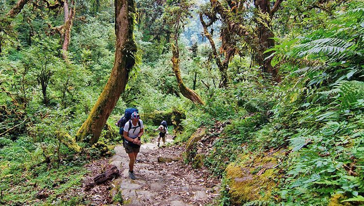top 20 hiking routes in Vietnam_9