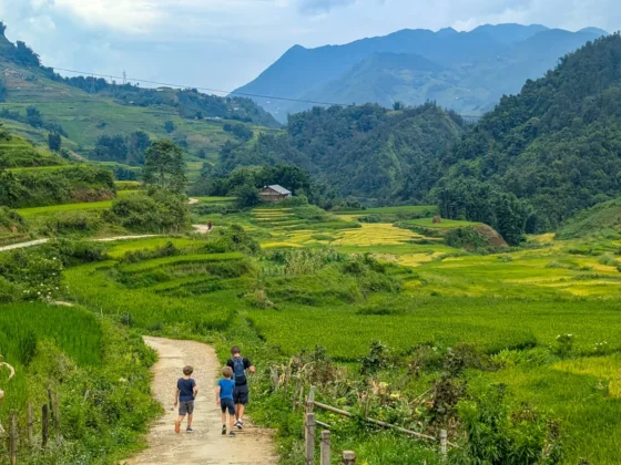 trekking in Vietnam 2026 guide_thumb