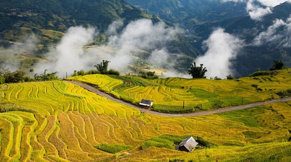 untamed wilderness in Vietnam_1_2