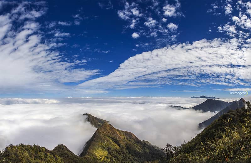 untamed wilderness in Vietnam_3