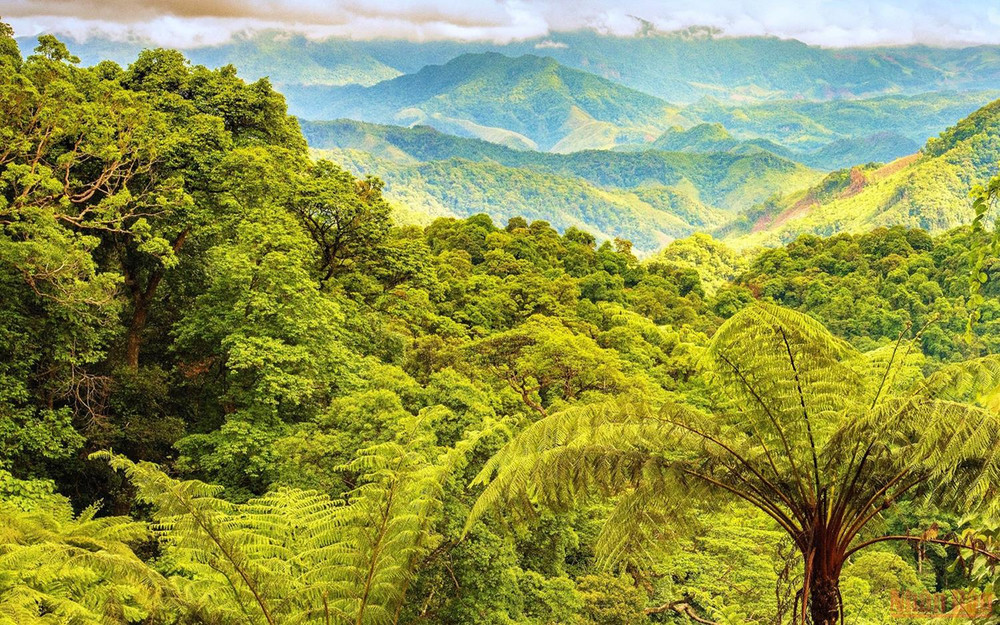 untamed wilderness in Vietnam_5