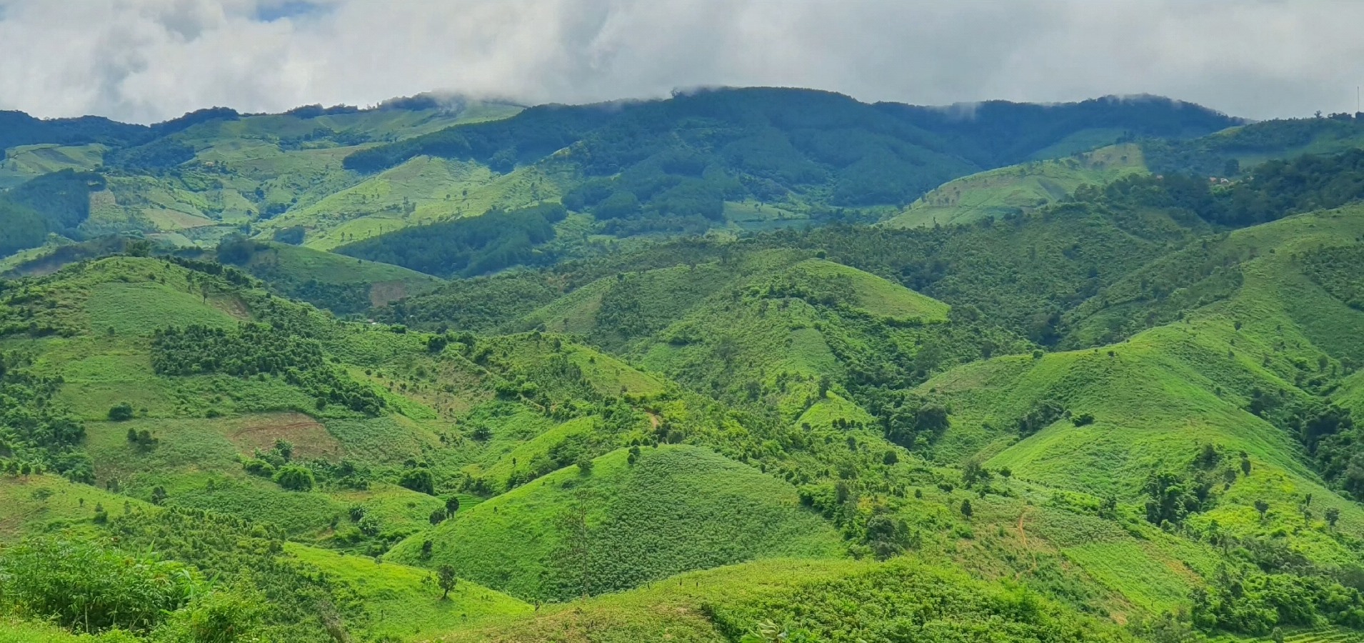 untamed wilderness in Vietnam_6