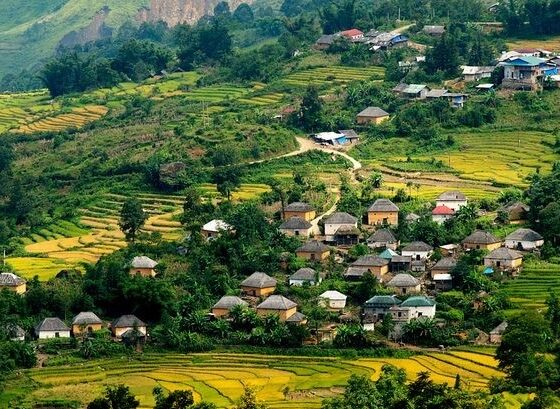 untamed wilderness in Vietnam_thumb