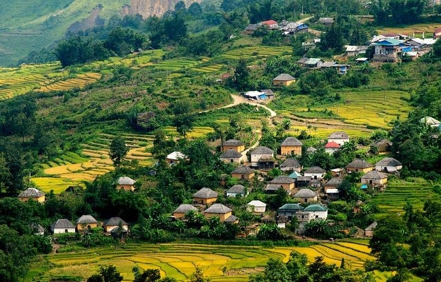 untamed wilderness in Vietnam_thumb