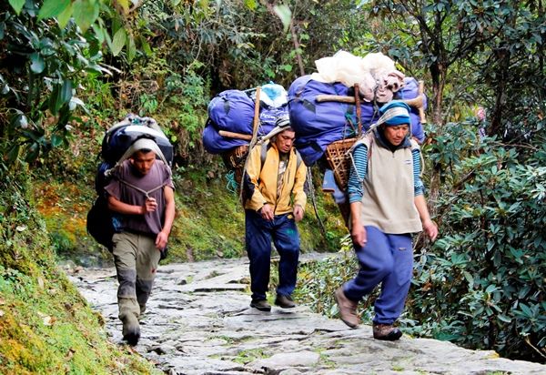 Fansipan trekking porters_2