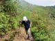 Fansipan trekking porters_3