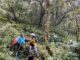 Fansipan trekking porters_thumb