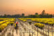 Mekong Delta travel guide for relaxation_5
