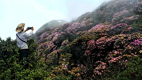 Northern Vietnam mountain expeditions_1