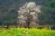 Northern Vietnam mountain expeditions_3