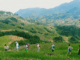 Sapa trekking off the beaten path_1