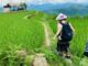 Sapa trekking off the beaten path_2
