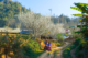 Sapa trekking off the beaten path_3