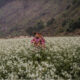 Vietnam hidden travel spots_thumb