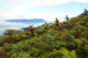 Vietnam trail running events_thumb