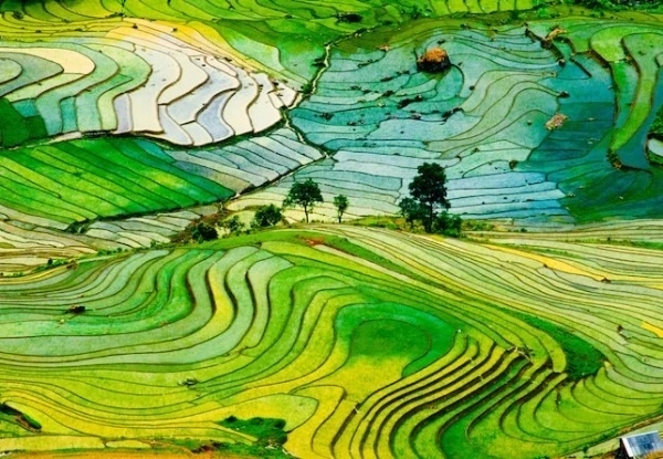 best rice terraces in Sapa_5