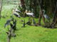 eco-friendly Mekong Delta tours_2