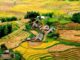 hidden villages in Vietnam_thumb