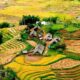 hidden villages in Vietnam_thumb