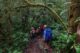 tropical rainforest hiking Southeast Asia_thumb