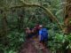 tropical rainforest hiking Southeast Asia_thumb