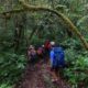 tropical rainforest hiking Southeast Asia_thumb