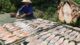 Cat Ba Island travel guide_3