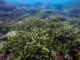 Dam Tre Bay trekking_4
