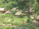 Ma Lieng ethnic group Vietnam_thumb